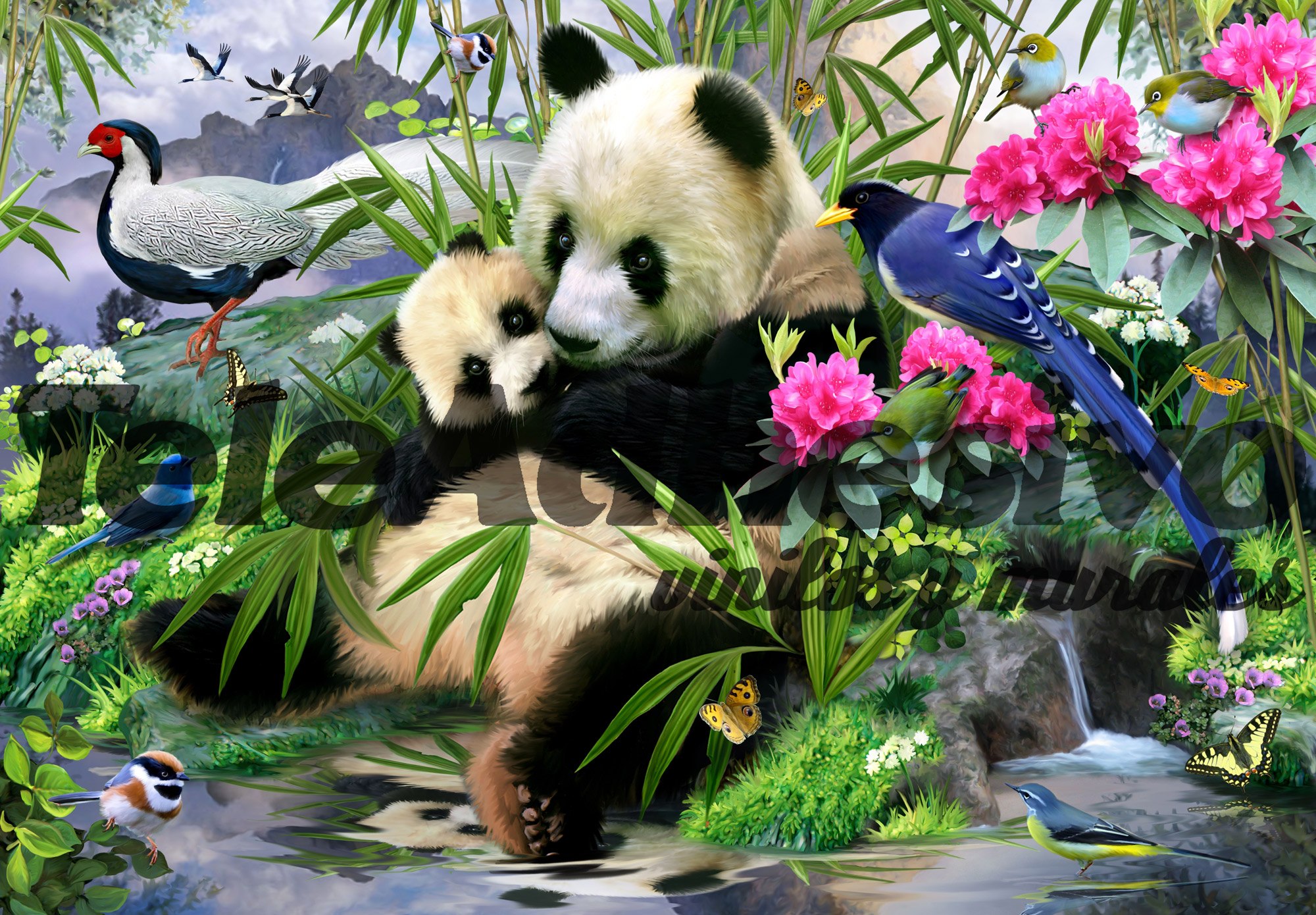 Wall Murals: Panda