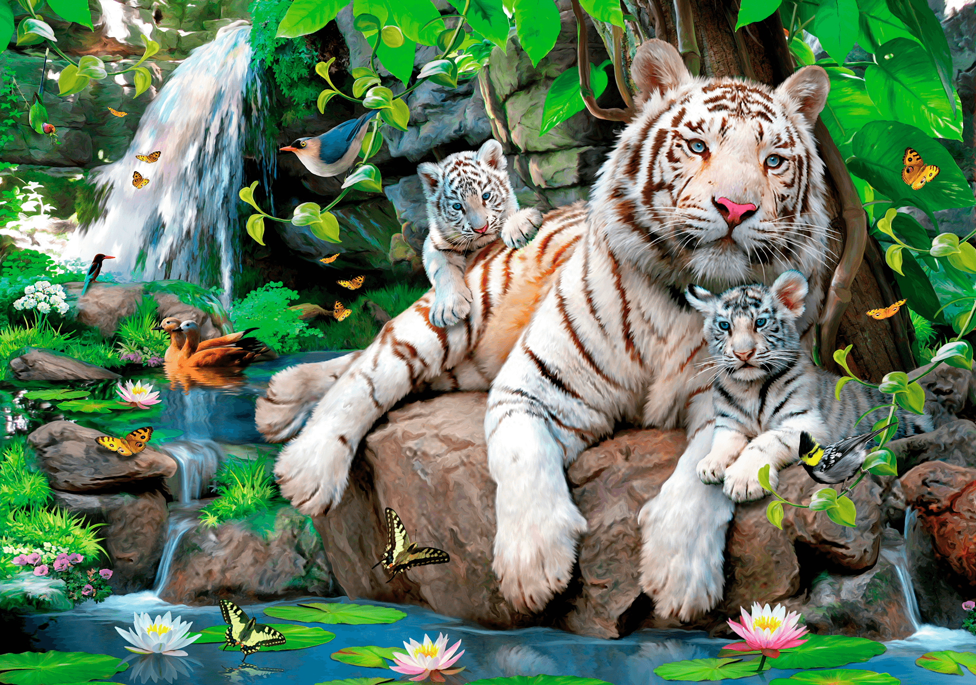 Wall Murals: Albino Tigers