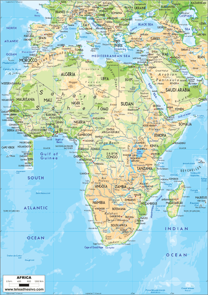 Wall Murals: Africa's map