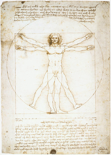 Wall Murals: Vitruvius, Da Vinci