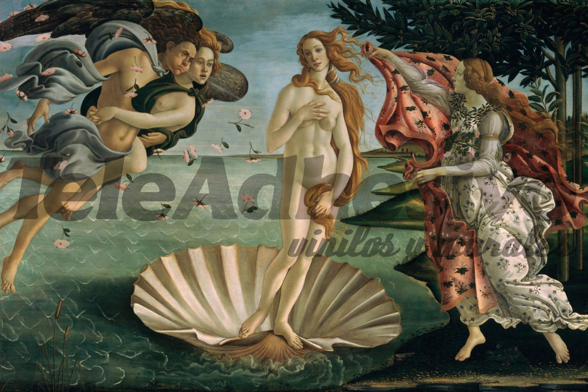 Wall Murals: Birth of Venus, Botticelli
