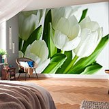 Wall Murals: White tulips 2