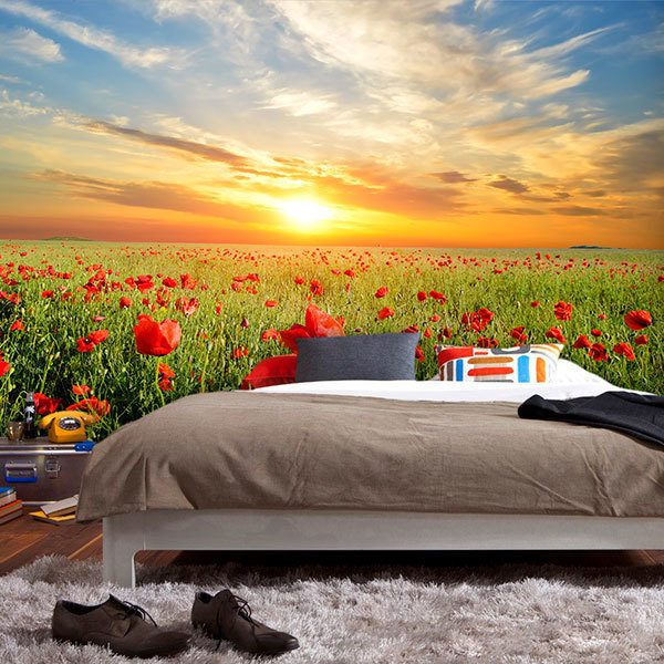 Wall Murals: Poppies at sunset