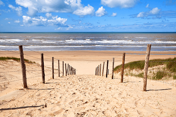 Wall Murals: Path to the beach