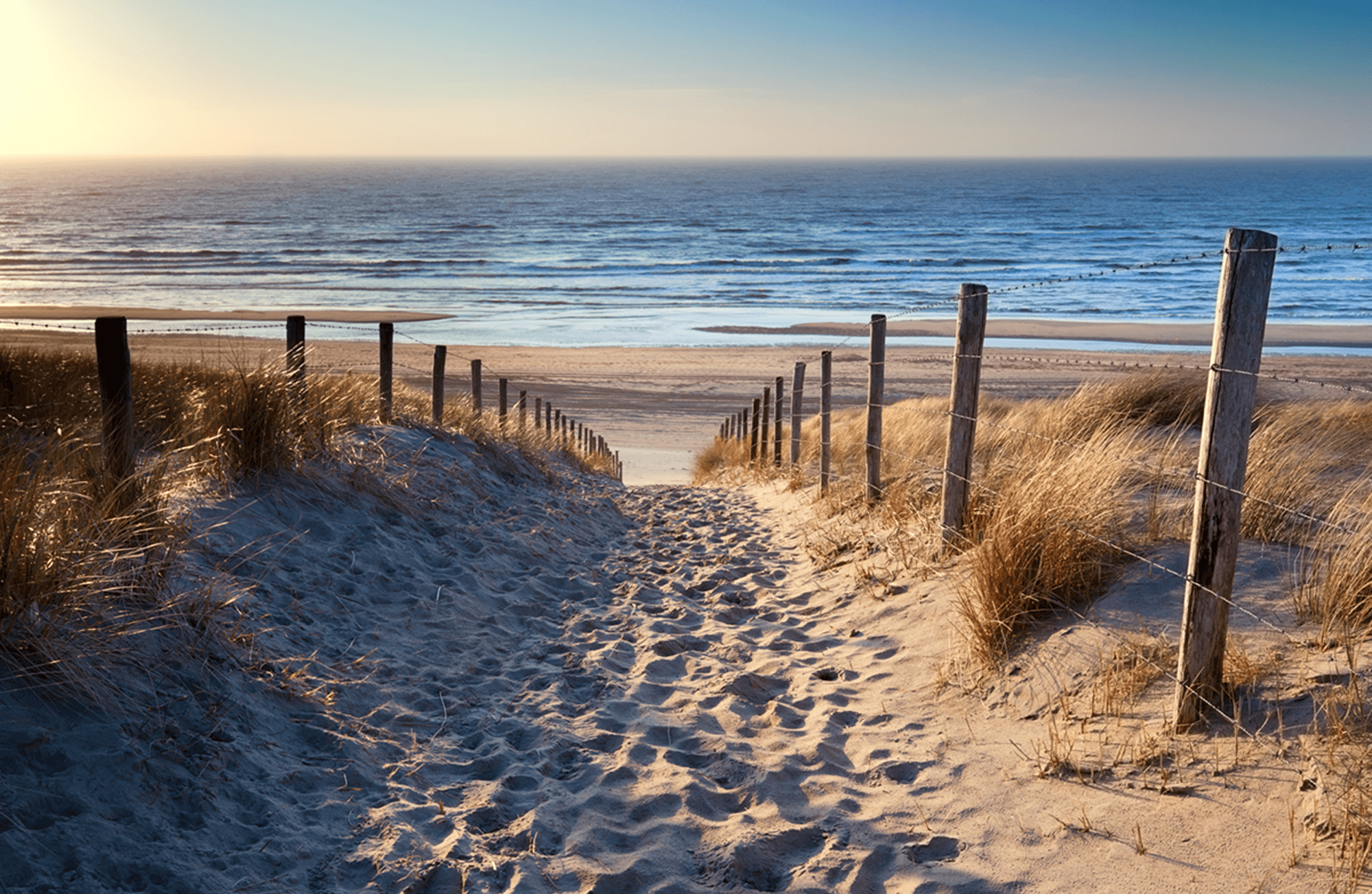 Wall Murals: On the way to the beach