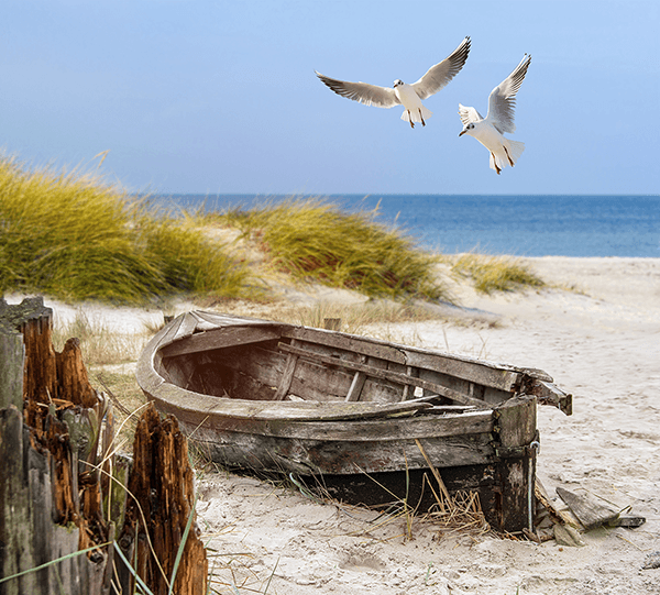 Wall Murals: Ancient boat on the sand