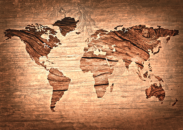 Wall Murals: Wooden world map
