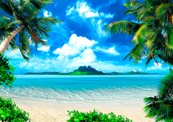 Wall Murals: Caribbean Treasury