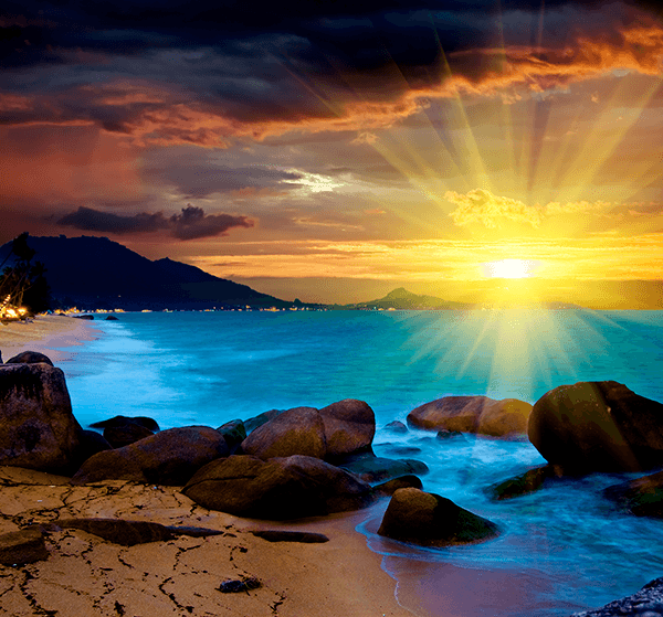 Wall Murals: Magical sunset