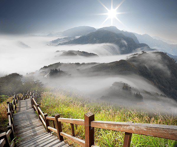Wall Murals: Mountains in the fog