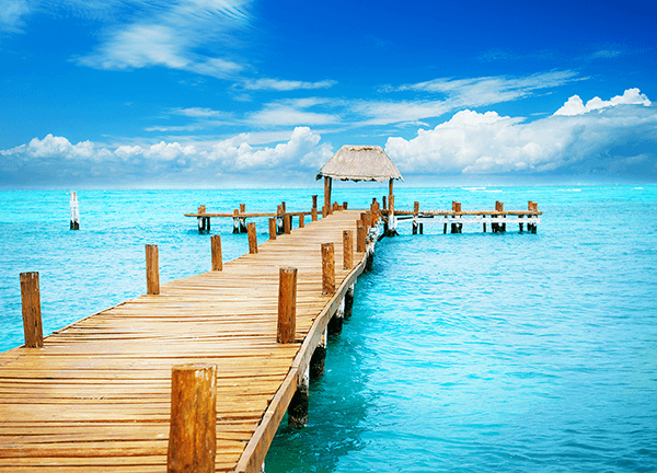 Wall Murals: Paradise Wharf