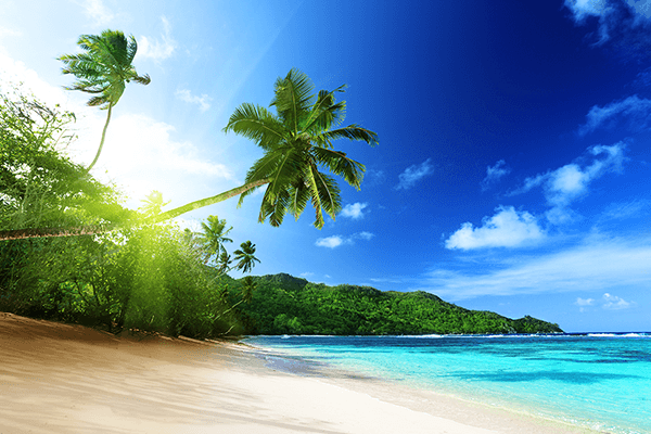 Wall Murals: Cuban Beach