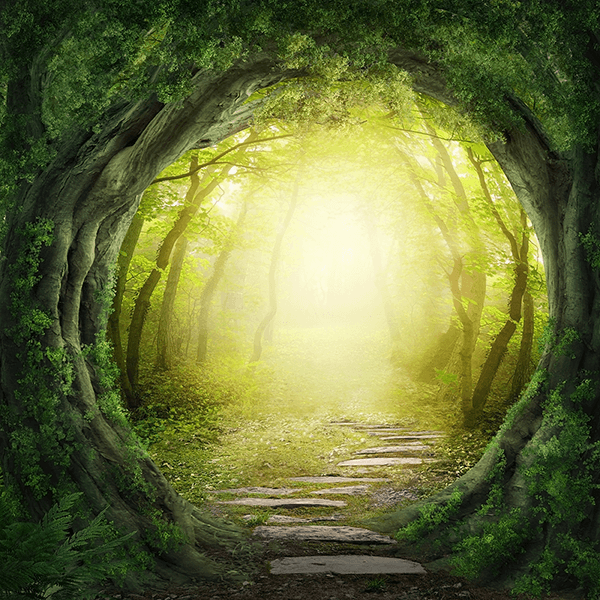 Wall Murals: The Lost Forests