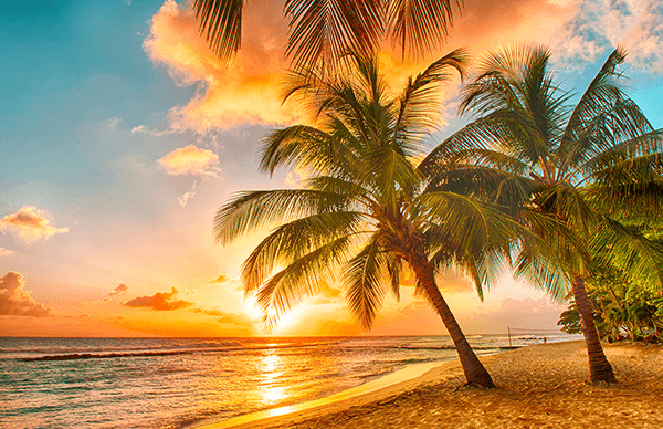Wall Murals: Hawaiian Beach