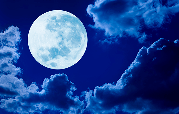 Wall Murals: Full moon in blue night