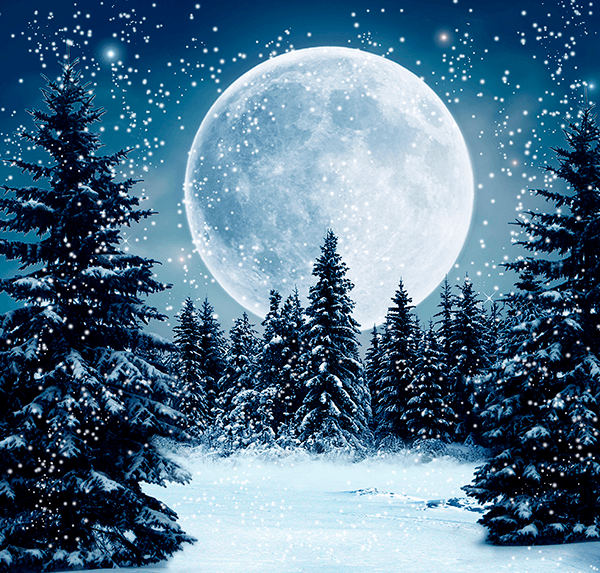 Wall Murals: Moon over snowy forest