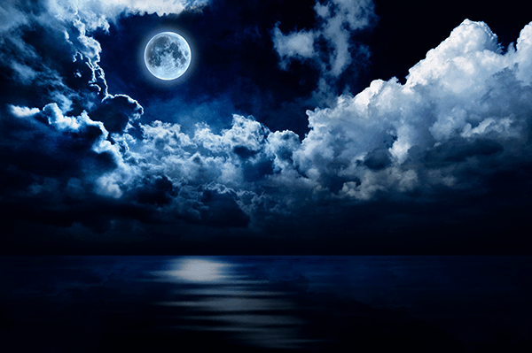 Wall Murals: Full moon over the ocean