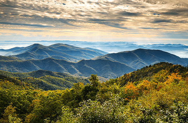 Wall Murals: Appalachian Mountains, USA