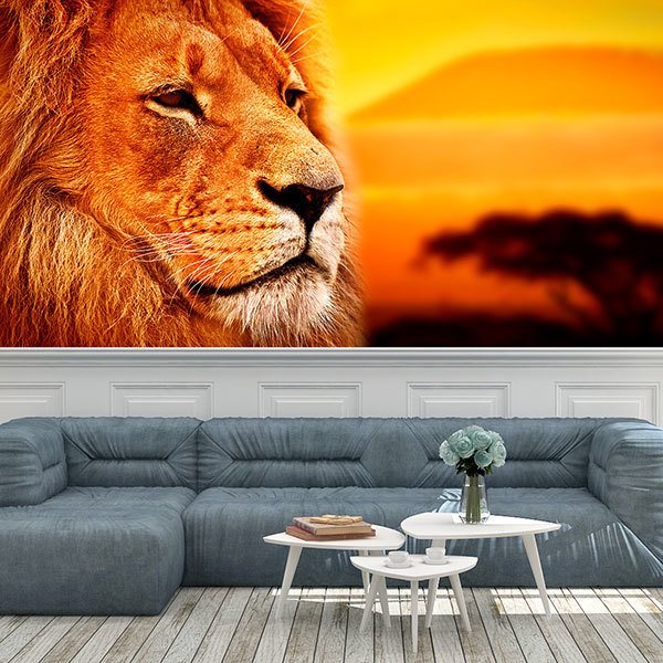 Wall Murals: Panoramic African Lion 0