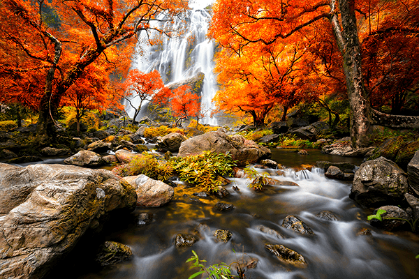Wall Murals: Waterfall in autumn
