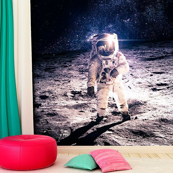 Wall Murals: Armstrong on the Moon 0
