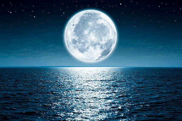 Wall Murals: Full Moon Night