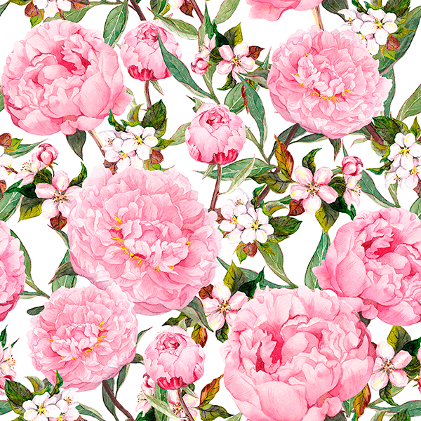 Wall Murals: Watercolour peonies