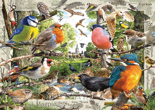 Wall Murals: Bird Catalogue