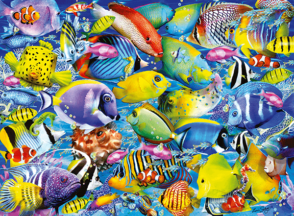 Wall Murals: Colored fish collection