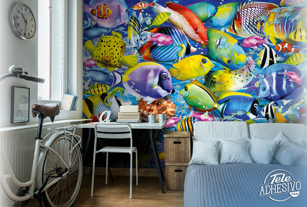 Wall Murals: Colored fish collection