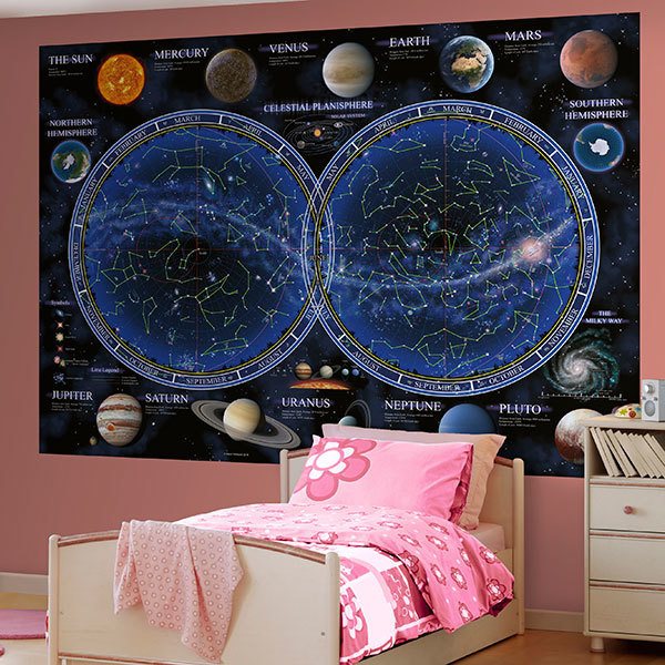 Wall Murals: Celestial Planisphere 0