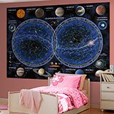 Wall Murals: Celestial Planisphere 2