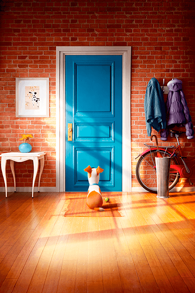 Wall Murals: The Secret Life of Pets