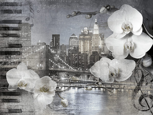 Wall Murals: Collage Orchids in New York