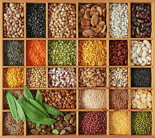 Wall Murals: Collage Legumes
