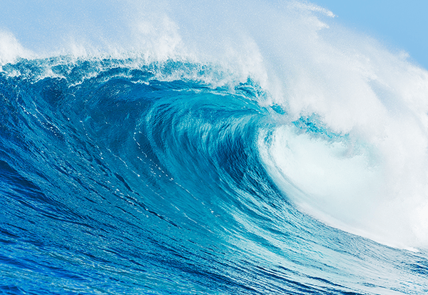 Wall Murals: Big wave in Australia