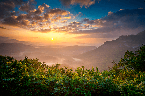 Wall Murals: Sri Lanka National Park