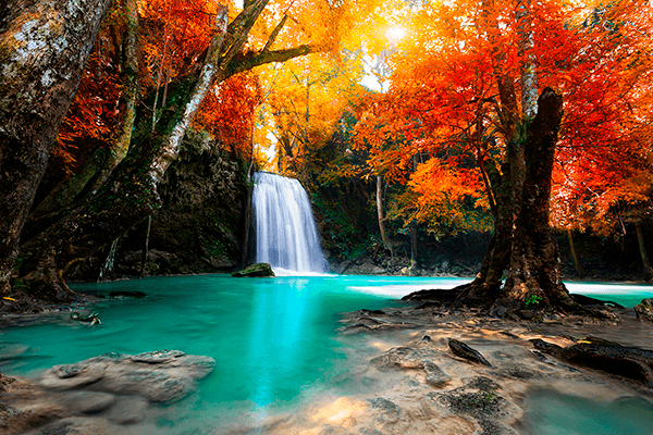 Wall Murals: Deep waterfall in autumn