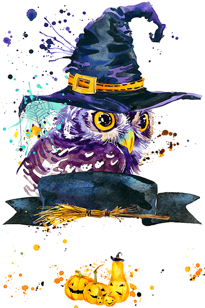 Wall Murals: The Magic Owl