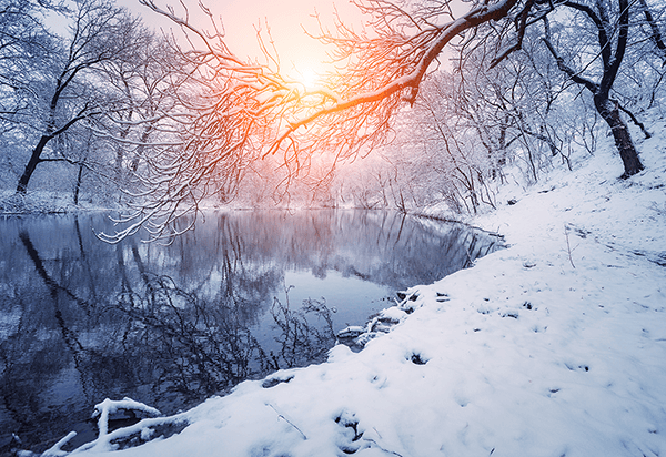 Wall Murals: Dawn in winter