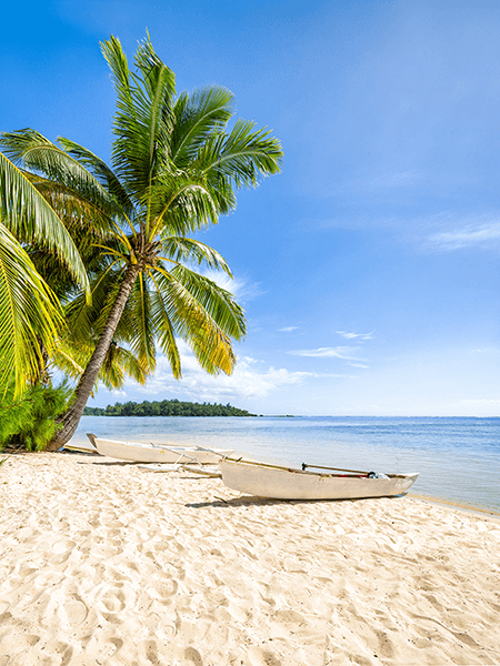 Wall Murals: Canoes in the Caribbean