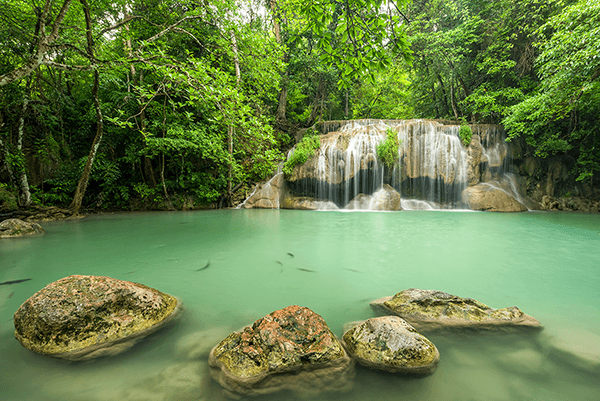 Wall Murals: Erawan Park Waterfall