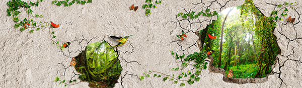 Wall Murals: The wall of freedom