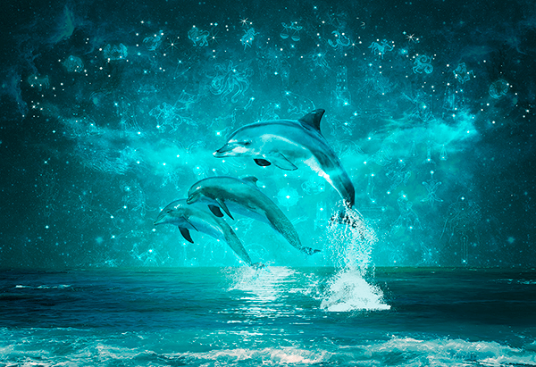 Wall Murals: Dolphins and constellations