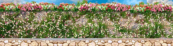 Wall Murals: Wall with flowers