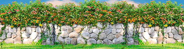 Wall Murals: Wall of flowers