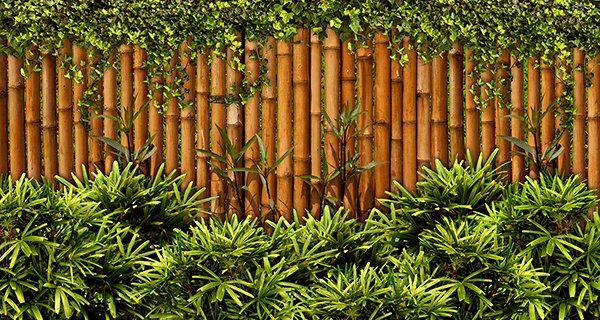 Wall Murals: Bamboo Fence