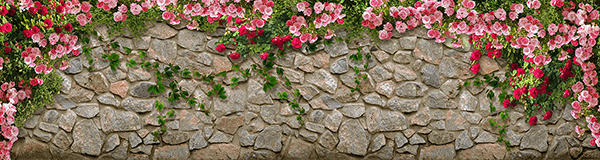 Wall Murals: Wall of Roses