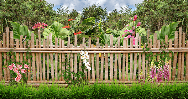 Wall Murals: Fence in the jungle