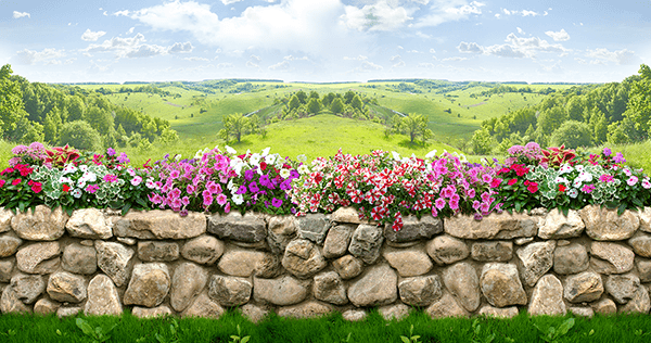 Wall Murals: The wall of flowers